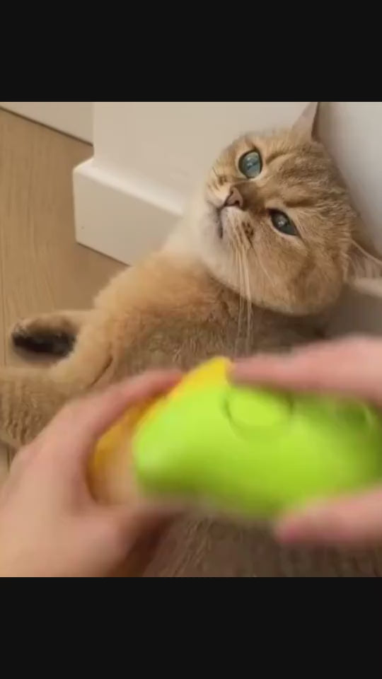 Cargar video: 1.mp4